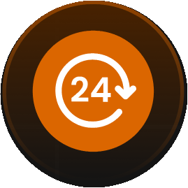 24 hour payout icon